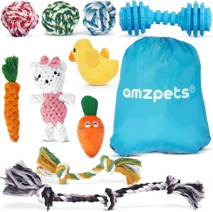 10 Dog Toys for Small Dogs and Puppies, Squeaky Dog Toys Rope Toys for Plush Games, with Chewing Ropes/Balls/Rubber Bone/Carry Bag, Variety Playing Toys Set for Toss and Tug Play