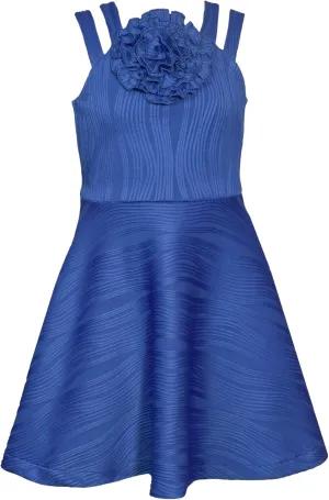 Bonnie Jean Girls Size 7-16 Crinkle-Pleat Knit Rosette Skater Dress