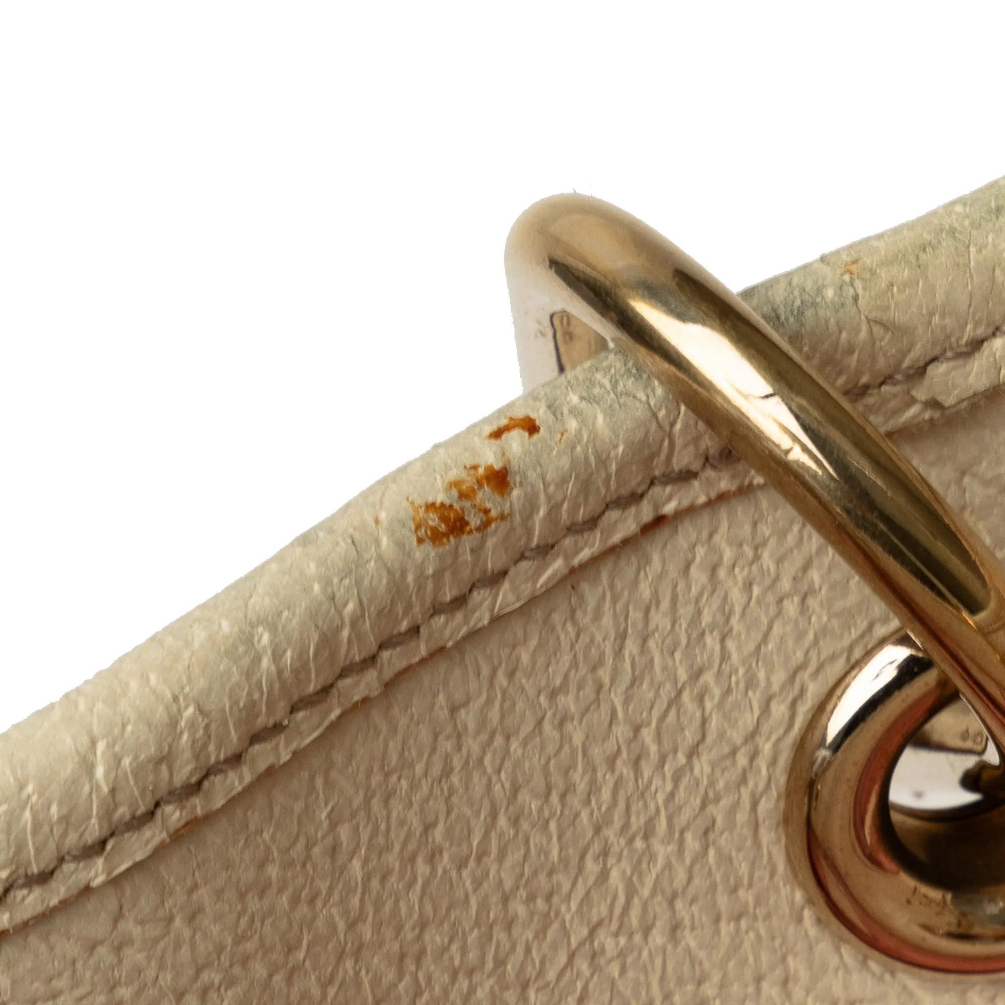 GG Canvas Eclipse Shoulder Bag