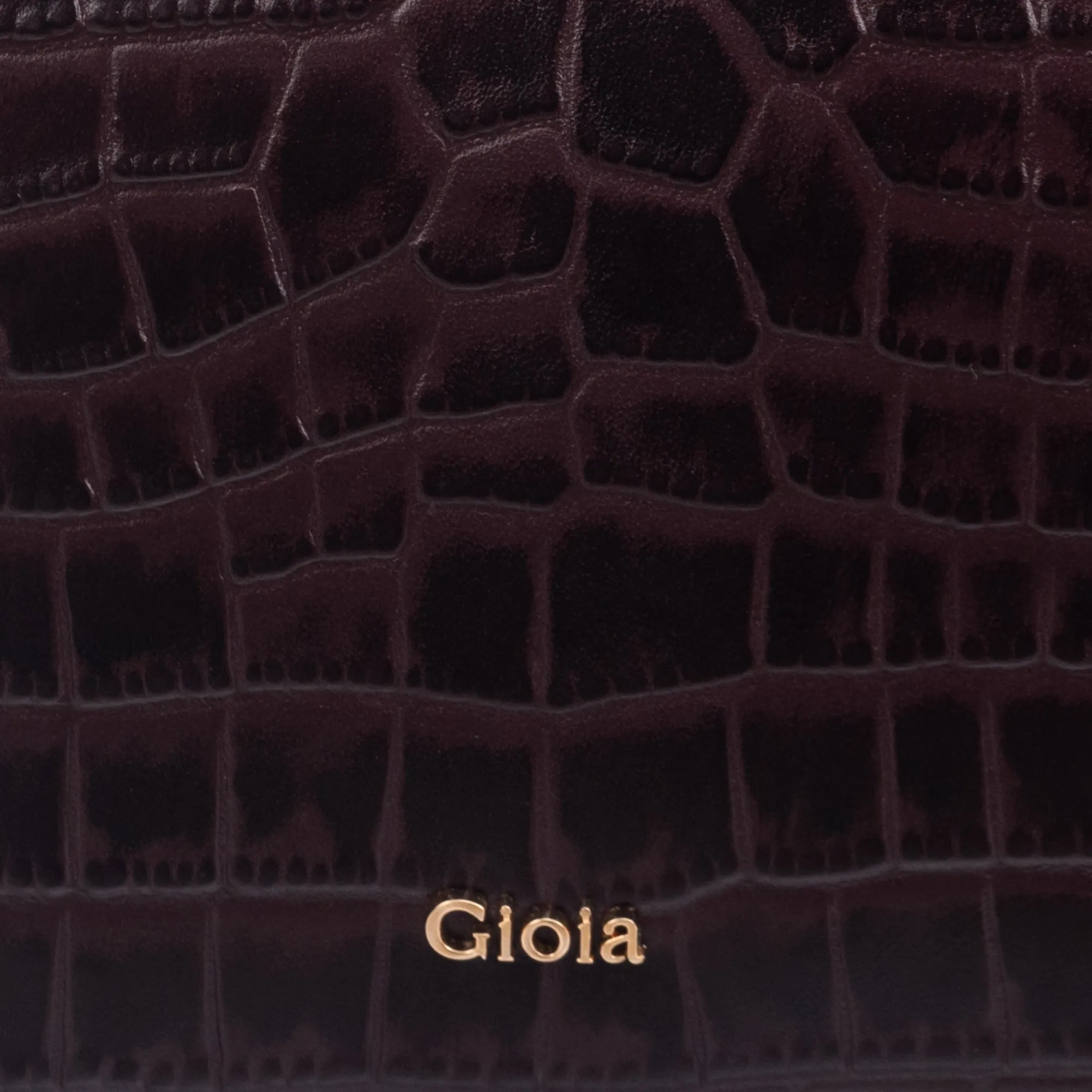 Pola-Ⅱ Crossbody Bag