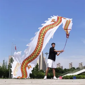 Square Exercise Dance Dragon Ribbon Streamer Printed with Dragon Tattoo, Comes with 3D Real-Like Dragon Head and Swing Rope Outdoor Dragon Poi Set
